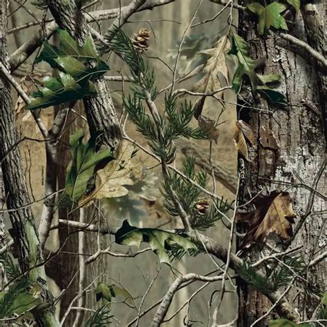 40 Realtree Wallpapers WallpaperSafari