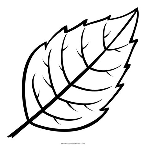 Folha Para Colorir - Folha Desenho Para Colorir - Ultra Coloring Pages | Hojas para colorear ...