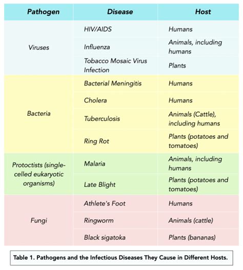 Pathogens And Infectious Diseases A Level Biology Study Mind