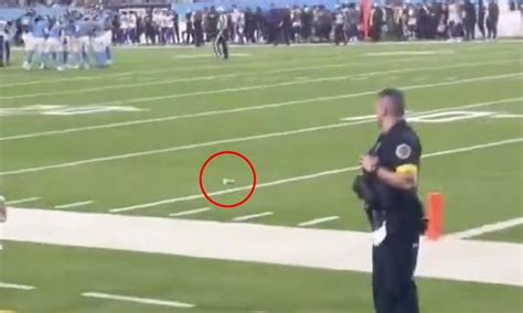Police Investigate After Sex Toy Thrown Onto Field At Vikings Titans Game Extending Wnba