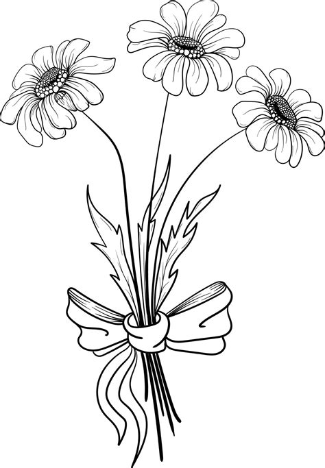 Linear daisies and leaves. Hand drawn illustration. 22534013 Vector Art ...