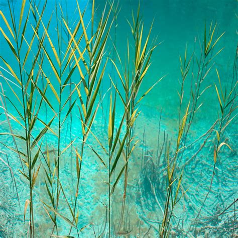 Shake Dat Ass Girl Single By Yakoozai Spotify