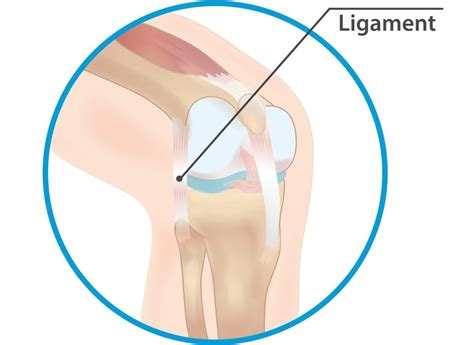 Lateral Collateral Ligament Lcl Injury Range Physiotherapy