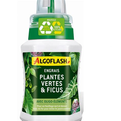 Engrais Plantes Vertes Et Ficus Algoflash D Co Du Jardin Reims