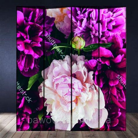 Купити Ширма , фотозона "Піони", ціна 2800 ₴ - Prom.ua (ID# 1373402689)