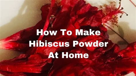 Instant Diy Hibiscus Powder How To Make Hibiscus Powder At Home Youtube