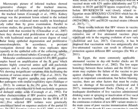 Phylogenetic tree of the partial S1 gene sequences of IBV isolates and ...
