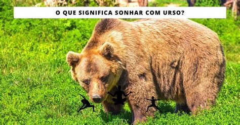 O Que Significa Sonhar Com Urso Querendo Te Pegar