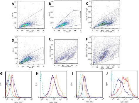 Flow Cytometric Analysis Of The Expression Of Cell Surface Markers CD90