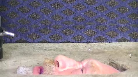 Riding Boots Face Trample Humiliation Humiliation Porn XHamster