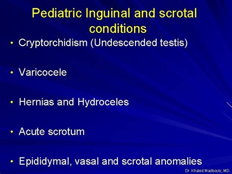 Pediatric Inguinal And Scrotal Conditions Dr Khaled Madbouly