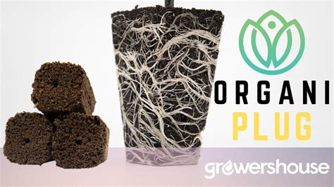 Organiplug Seed And Cloning Plug Food Safe Omri Ingredients Compostable