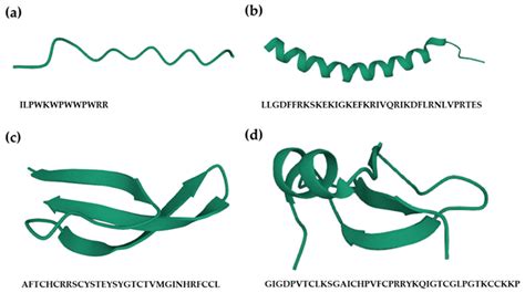 Antibiotics Free Full Text Antimicrobial Peptides From Design To