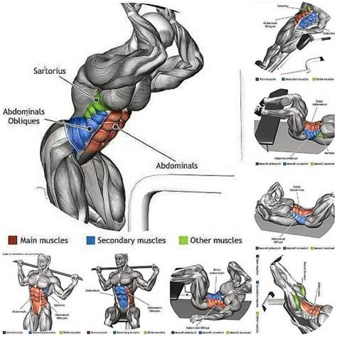 training of abdominal muscles