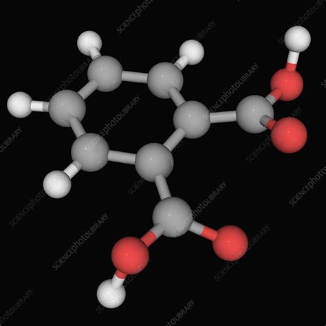 Phthalic acid molecule - Stock Image - F004/5940 - Science Photo Library