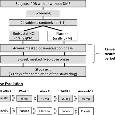 Study Design Including Diagram Of Dose Escalation Phase Mock Dose