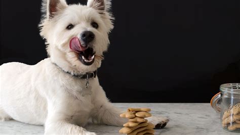 how to make homemade dog biscuits