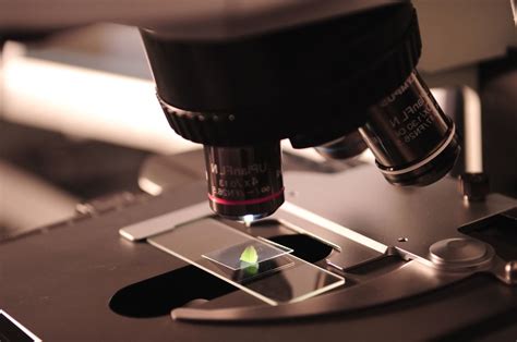 Free picture: microbiology, microscope, COVID-19 research, science ...