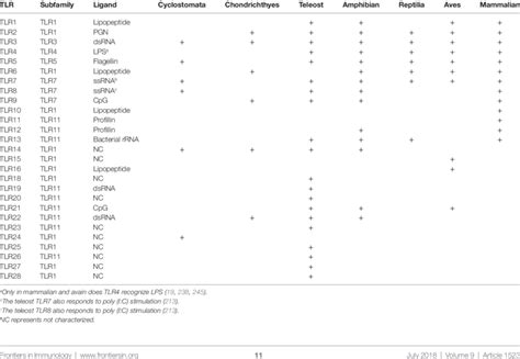 Summary Of Toll Like Receptors Tlrs In Vertebrates Download Table