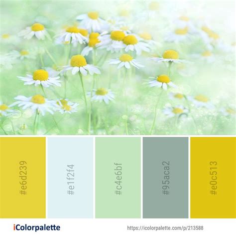 Color Palette Ideas Icolorpalette Colors Inspiration Graphics