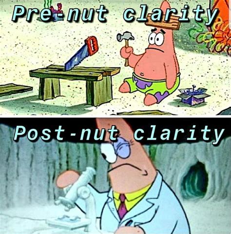 Why can't I always have post-nut clarity? | /r/BikiniBottomTwitter ...
