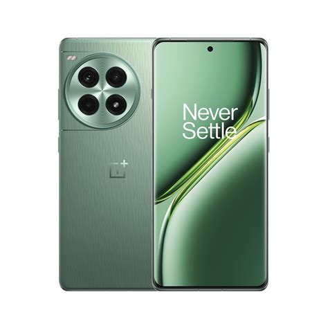 Смартфон OnePlus Ace 3 Pro - купить по выгодной цене в интернет ...