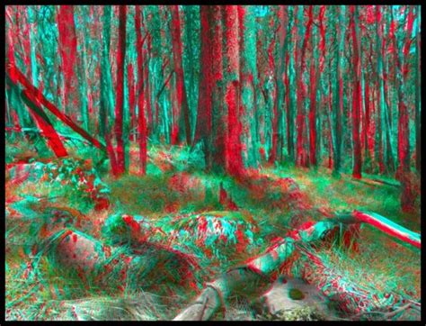 3D Фильмы Для Пассивных Очков Скачать Торрент - conceptdirection