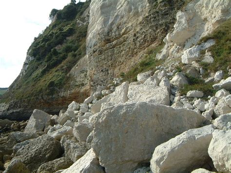 Seaton Uk Fossil Collecting