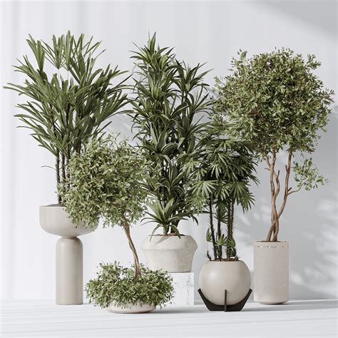 ArtStation - Indoor plant set 02 | Resources