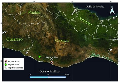 Ubicación del registro de Chondrohierax uncinatus dentro del Jardín