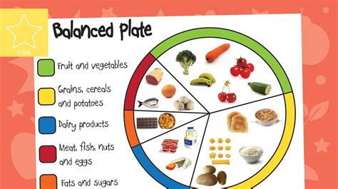 Balanced Plate Photo Mat Healthy Eating Posters Healthy Eating Plate