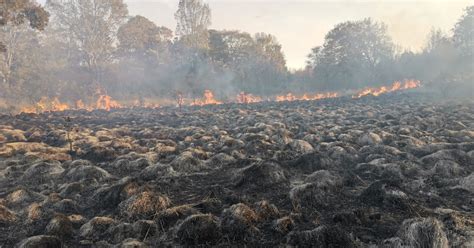 Mercado Sobre Ruedas Devastador Incendio De Pastizales En Milpa Alta