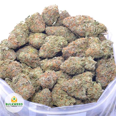 Alaskan Thunder Fuck Aaa Cheap Weed Bulkweedinbox