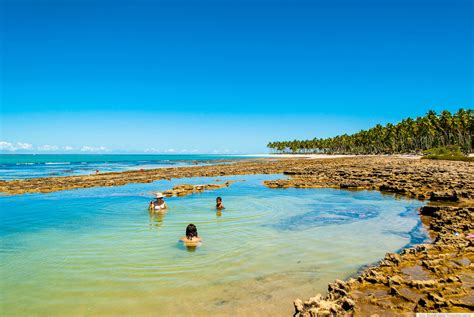 Praias De Mar Calmo Para Conhecer A Fam Lia