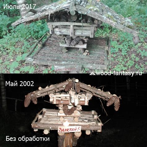 Купить кормушку для птиц в Москве | Интернет-Магазин