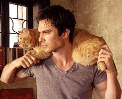 Hot Dudes With Kittens The Purr Fect Thing To See On Instagram Page Of Stay At Home Mum