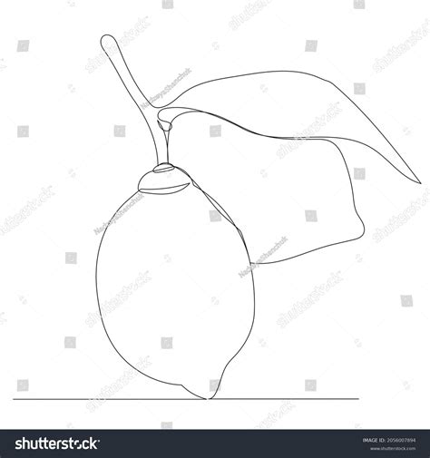 Lemon Line Drawing Isolated Vector Stock Vector (Royalty Free ...