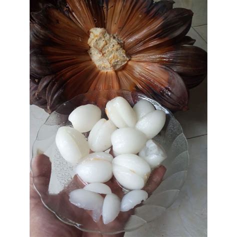 Jual Buah Nipah Atau Buah Dahon Rawa Segar 1000gr Shopee Indonesia