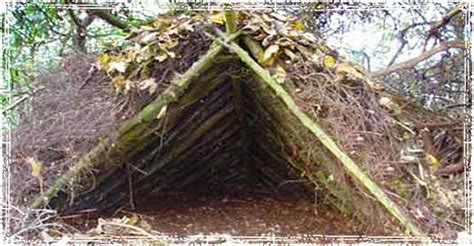 Six of the Top Wilderness Survival Shelters