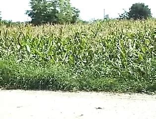 Passaggi Dagli Sconosciuti Blowjob Blowjob Porn Feat Sheila Stone XHamster