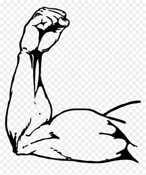 Muscle Arm Clip Art, HD Png Download - vhv