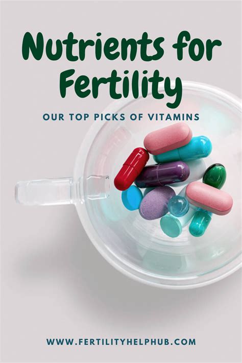 Top picks of vitamins for fertility and to compliment your treatment ...