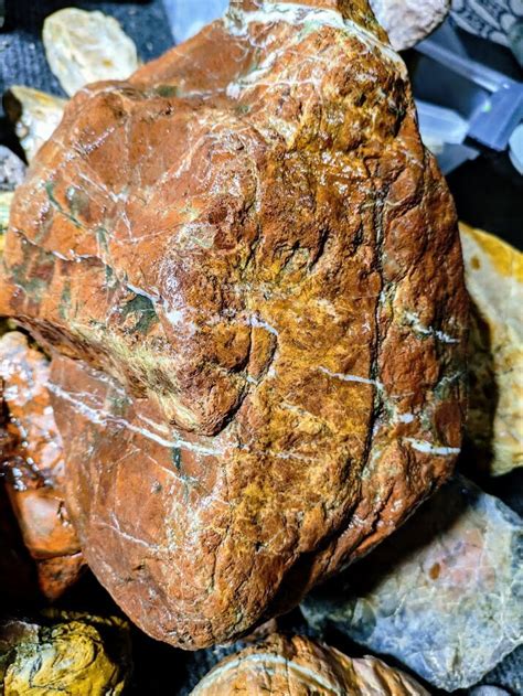 Extra Large Red And Green Jasper W Quartz Veins Lbs Magnificent Rough