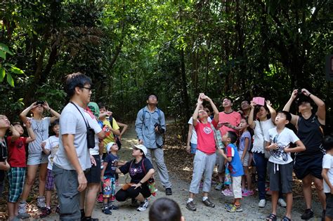 Adventures With The Naked Hermit Crabs October