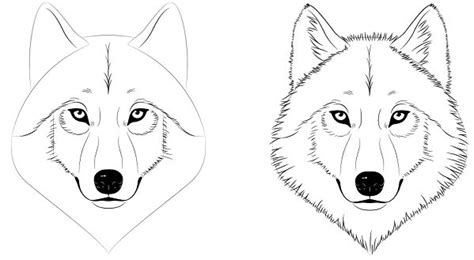 Aprende Como Dibujar Lobos por Pasos Guia Consejos Cómo dibujar