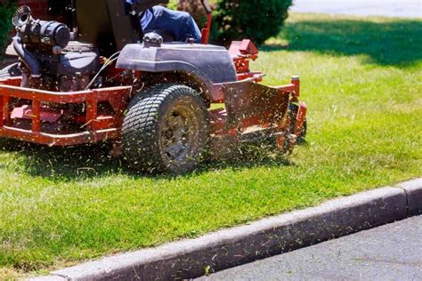 Top 6 Reasons Why Choosing A Professional Tree Company Near Me Is