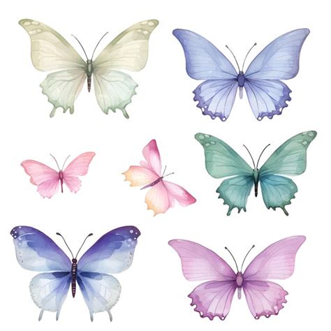 Premium Vector | Watercolor butterfly illustration