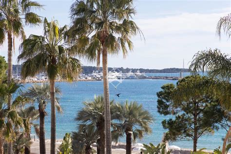 Sale Apartment Cannes 2 Bedrooms Sea View Croisette Ref 12651