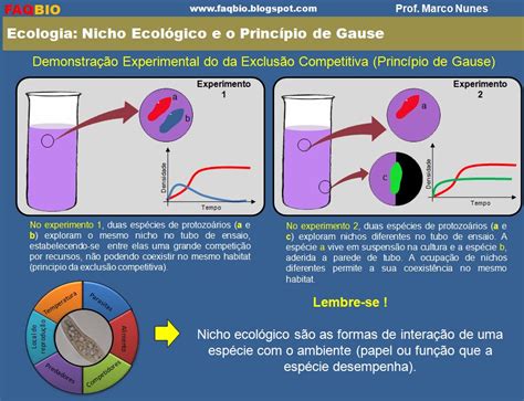 Faqbio Apoio Ao Estudo De Biologia Ficha Resumo Ecologia Nicho