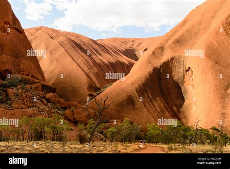 Close-up of Uluru (Ayers Rock) in the Northern Territory, Australia ...